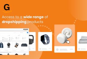 Efficient Dropshipping Management